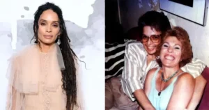 Current Status and Updates Arlene Litman