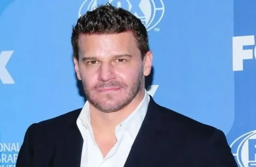 David Boreanaz