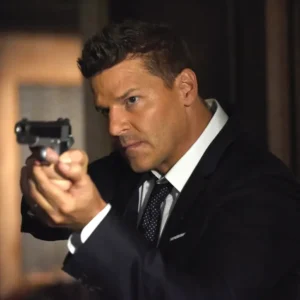 Financial or Career Metrics David Boreanaz