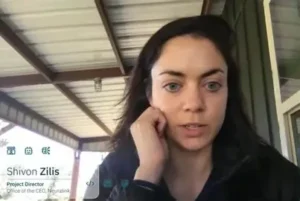 Origins and Background Shivon Zilis