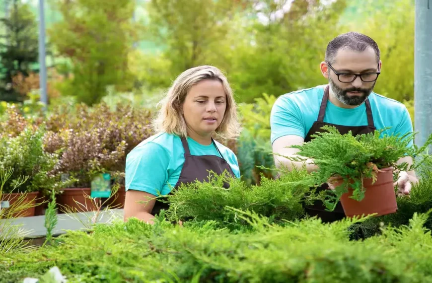 Plant Selection and Lawn Care