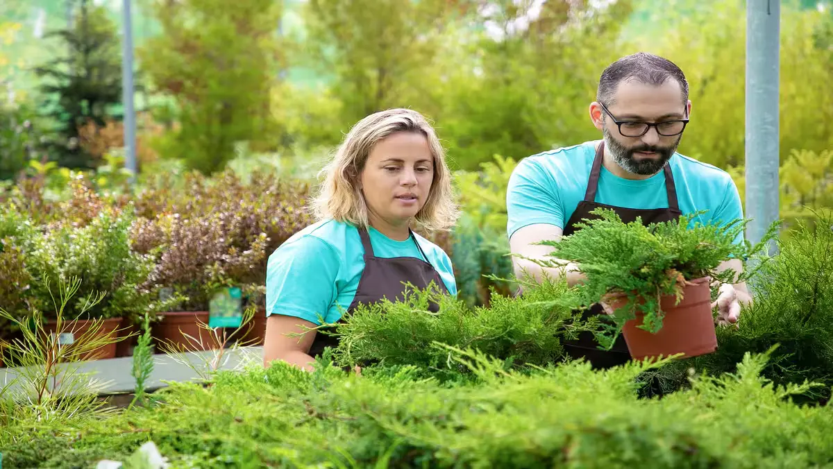 Plant Selection and Lawn Care