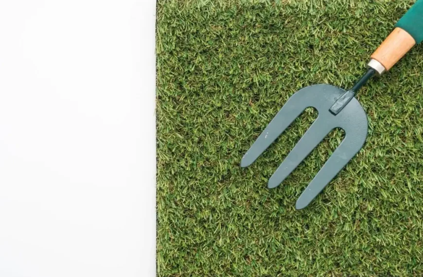 commercial sod supplier Tampa