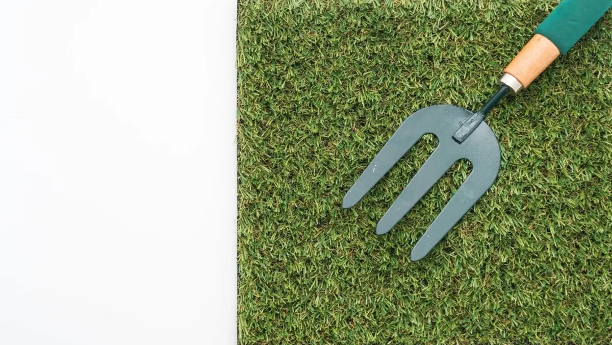 commercial sod supplier Tampa