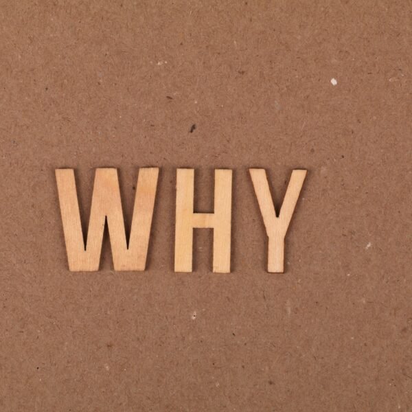 Why They Matter & How to Choose the Best One