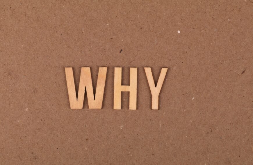 Why They Matter & How to Choose the Best One
