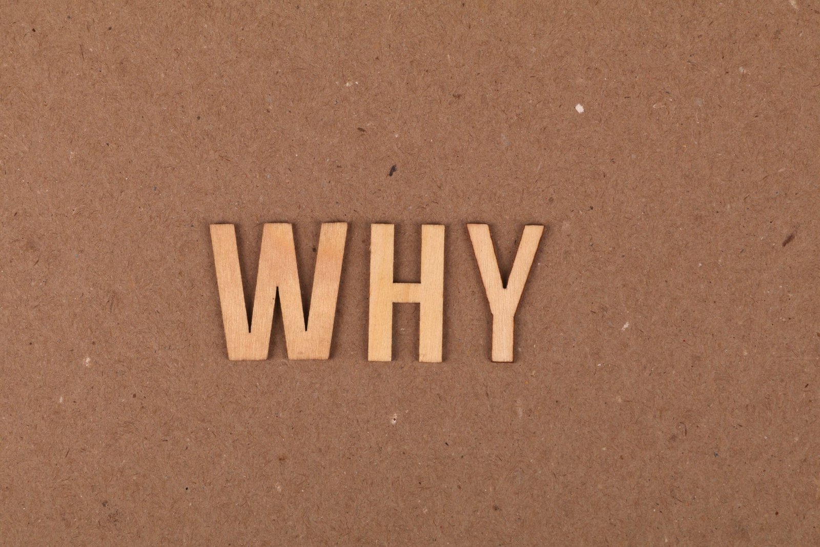 Why They Matter & How to Choose the Best One